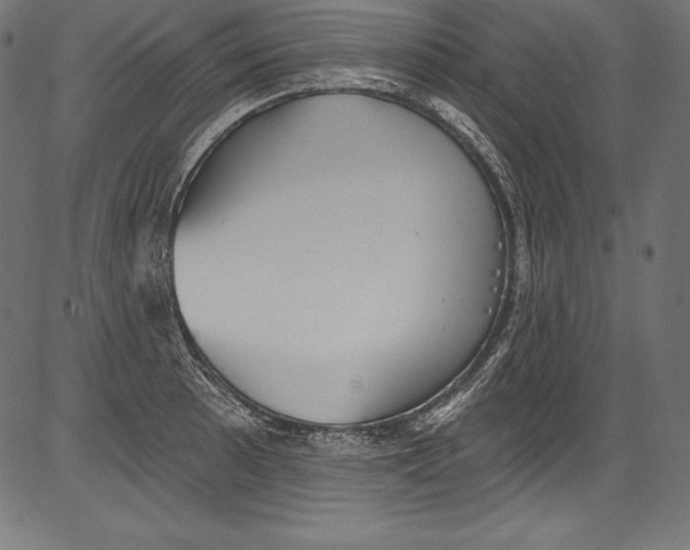 X0000081401089200702020314