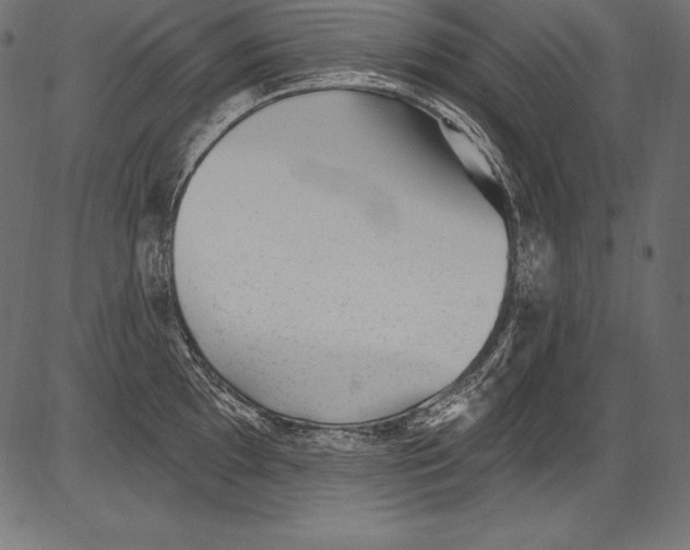 X0000081401097200702020314