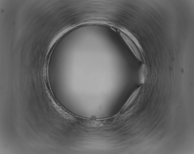 X0000081401101200702020314