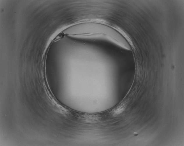 X0000081401102200702020314