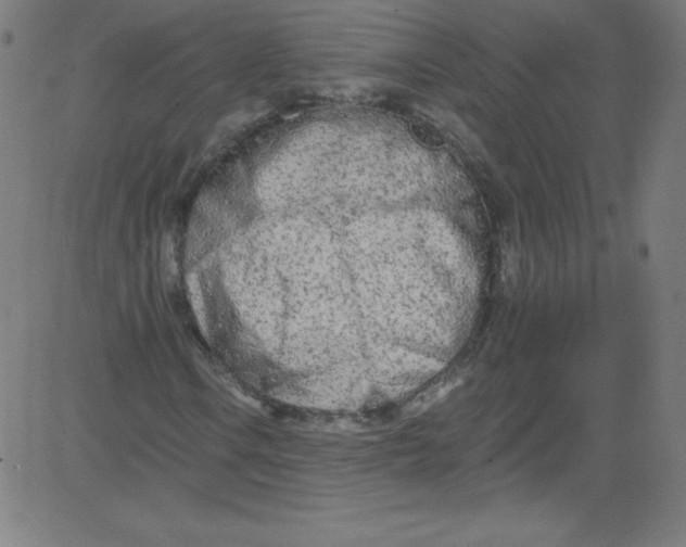 X0000081401106200702020313