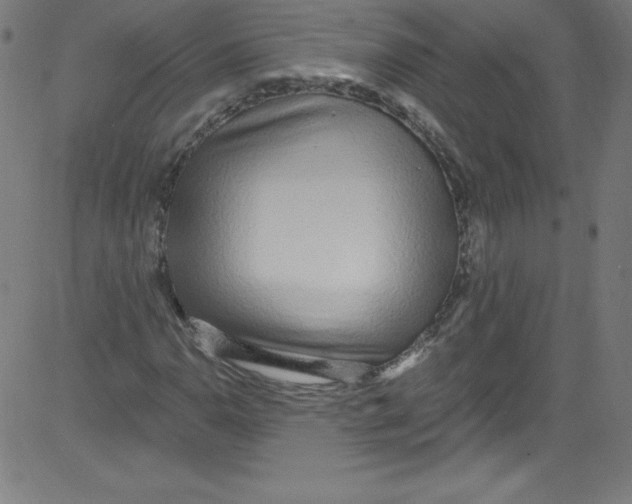 X0000081401110200702020313
