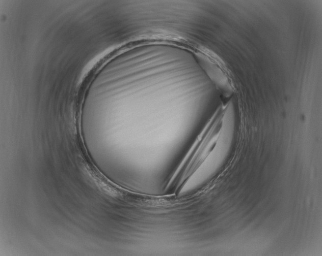 X0000081401120200702020313