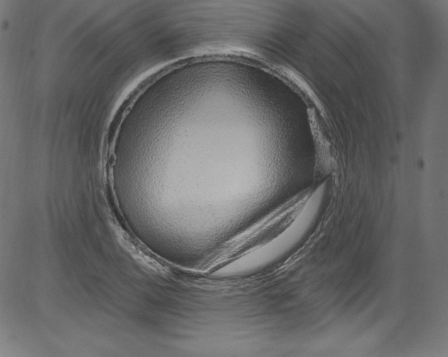 X0000081401124200702020314