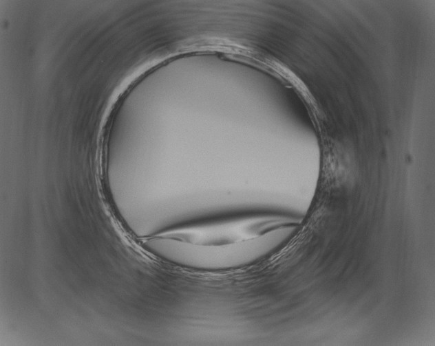 X0000081401144200702020314