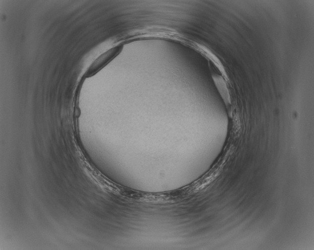 X0000081401146200702020314