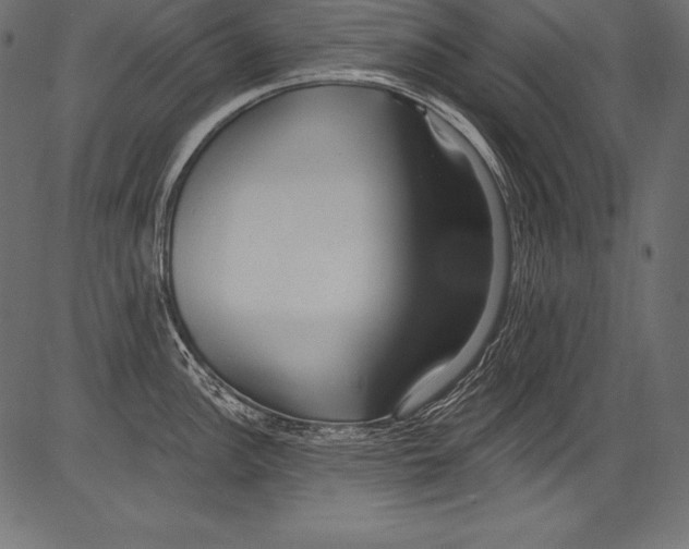 X0000081401148200702020314