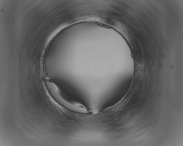 X0000081401151200702020314
