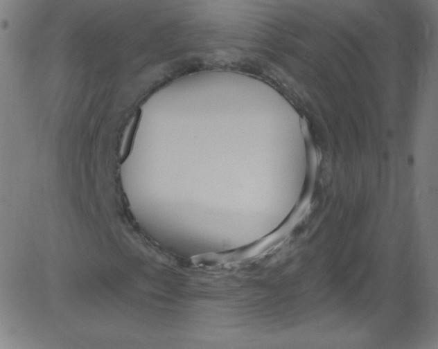 X0000081401153200702020313