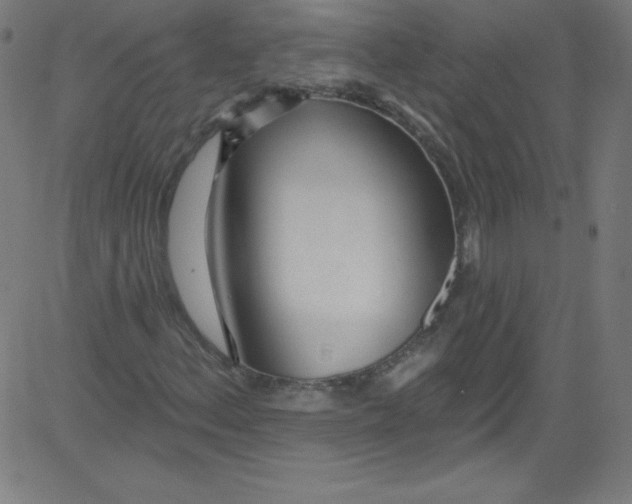 X0000081401156200702020313