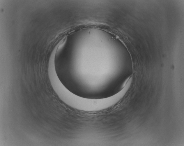 X0000081401157200702020313