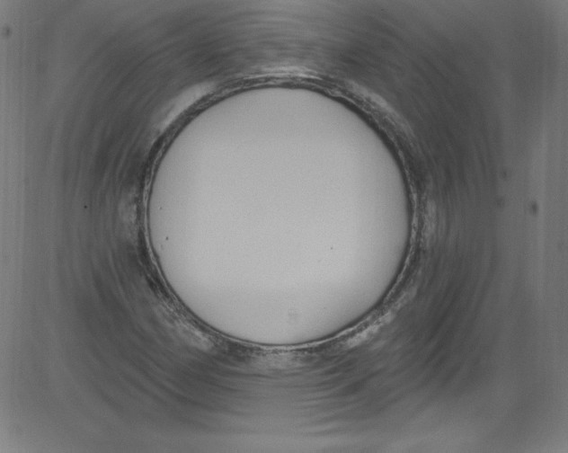 X0000081401162200702020313
