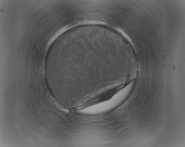 X0000081401173200702020313