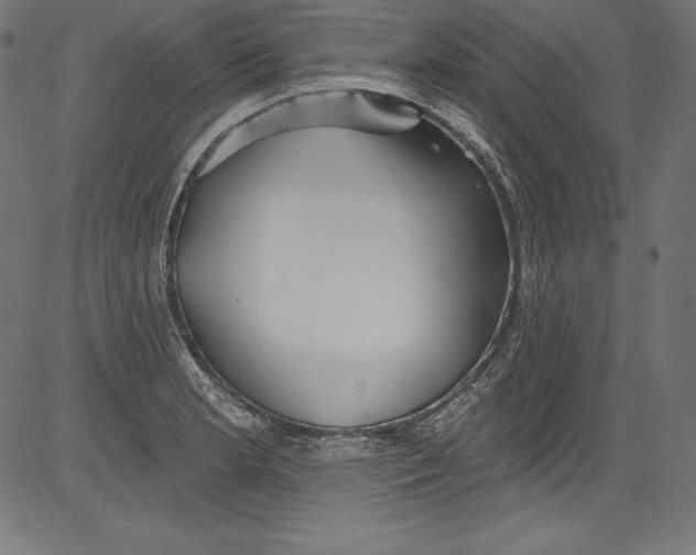 X0000081401181200702020313