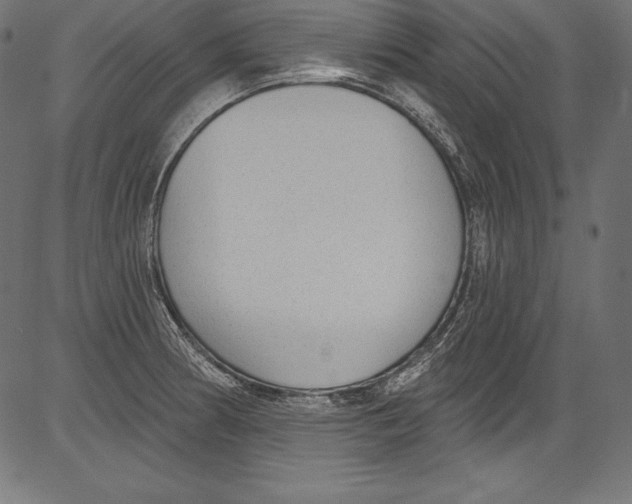 X0000081401186200702020313