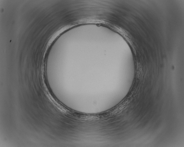 X0000081401187200702020313