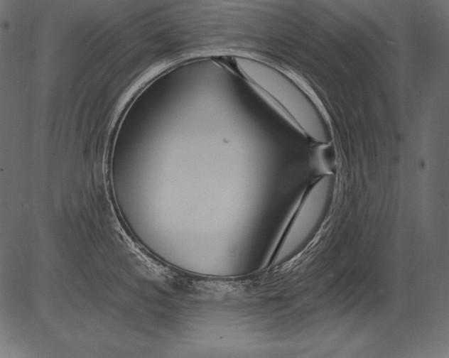 X0000081401197200702020312