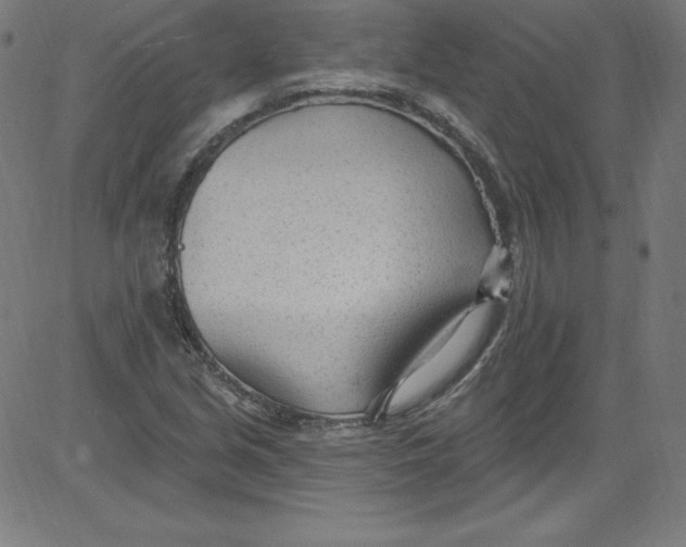 X0000081401213200702020312