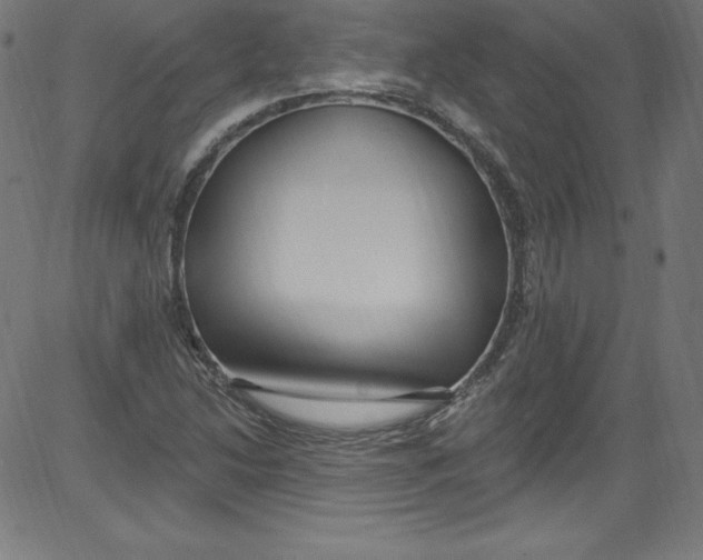 X0000081401214200702020312