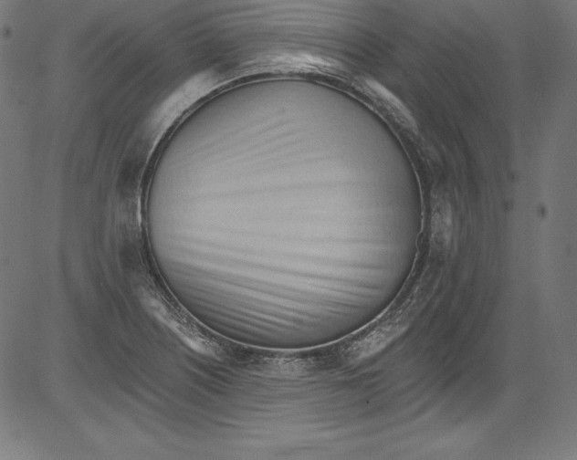 X0000081401226200702020312