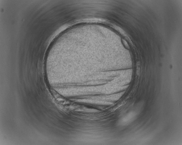 X0000081401229200702020312