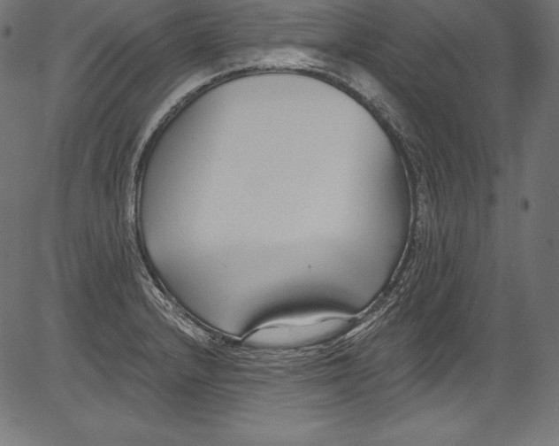 X0000081401232200702020312