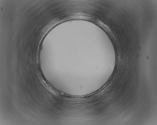 X0000081401236200702020312