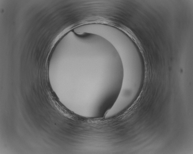X0000081401242200702020312