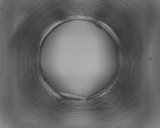 X0000081401244200702020312