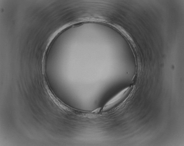 X0000081401246200702020312