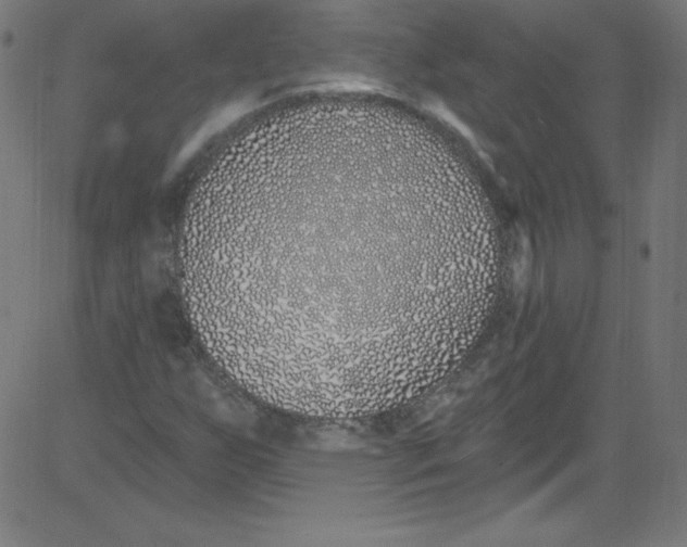 X0000081401255200702020312