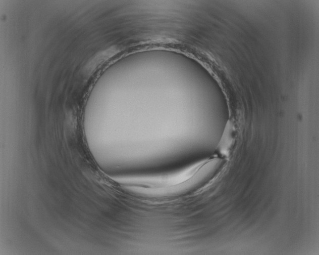 X0000081401257200702020311
