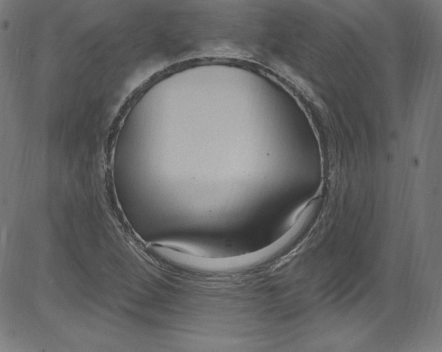 X0000081401264200702020311