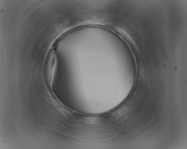 X0000081401268200702020311