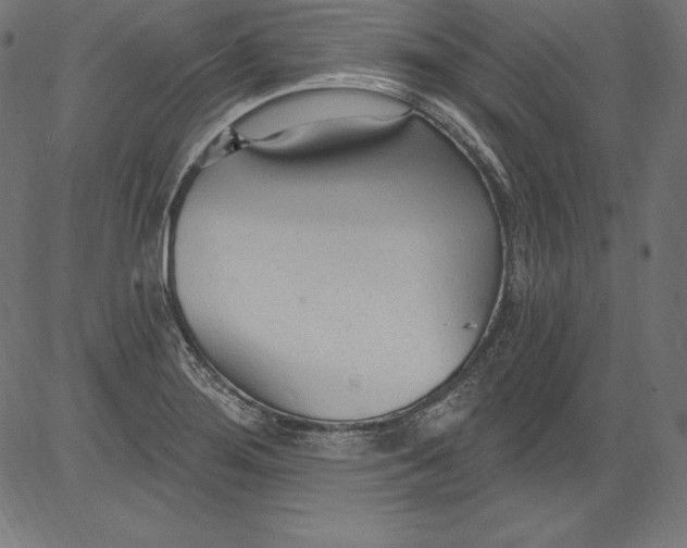 X0000081401276200702020311
