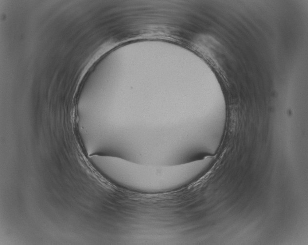 X0000081401284200702020311