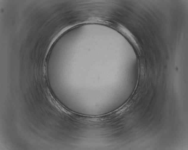 X0000081401292200702020311