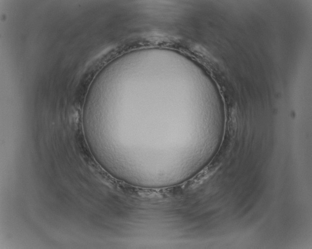 X0000081401302200702020310