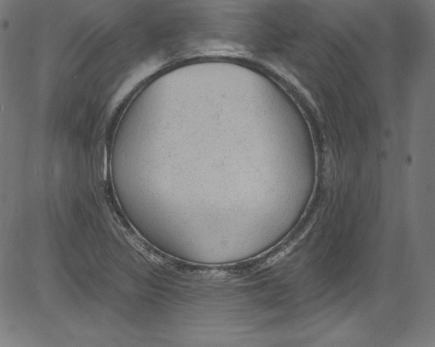 X0000081401317200702020310