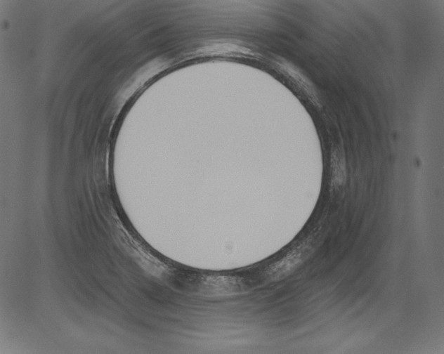 X0000081401322200702020310