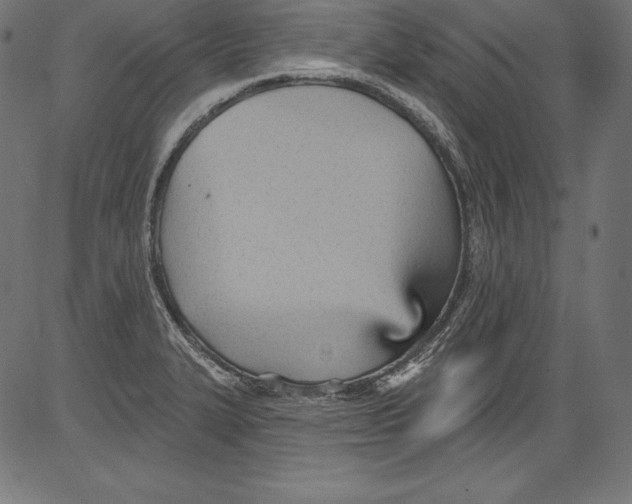 X0000081401327200702020311