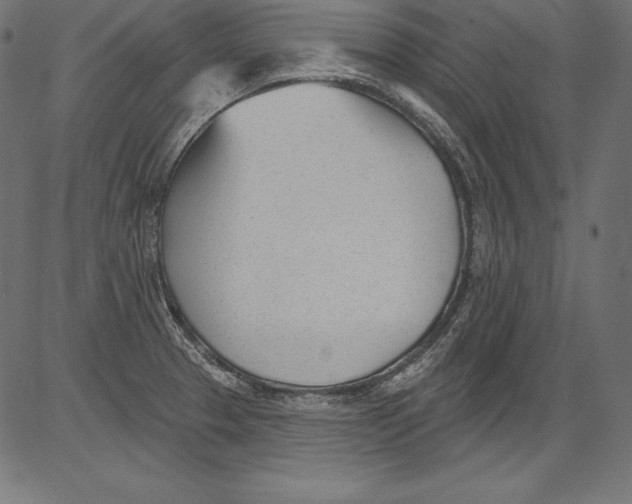 X0000081401329200702020311