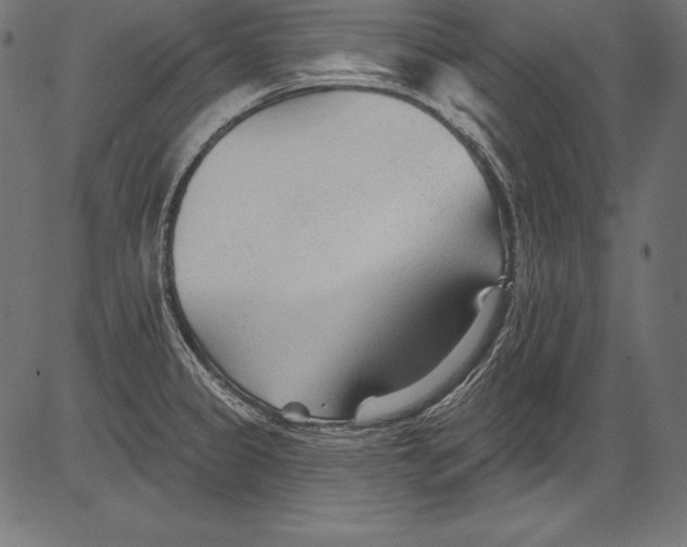 X0000081401333200702020311