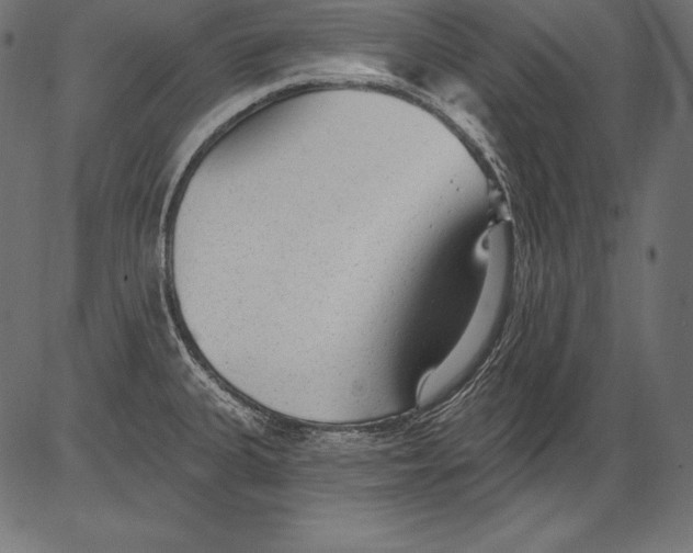 X0000081401335200702020311