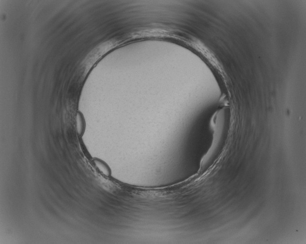 X0000081401337200702020311