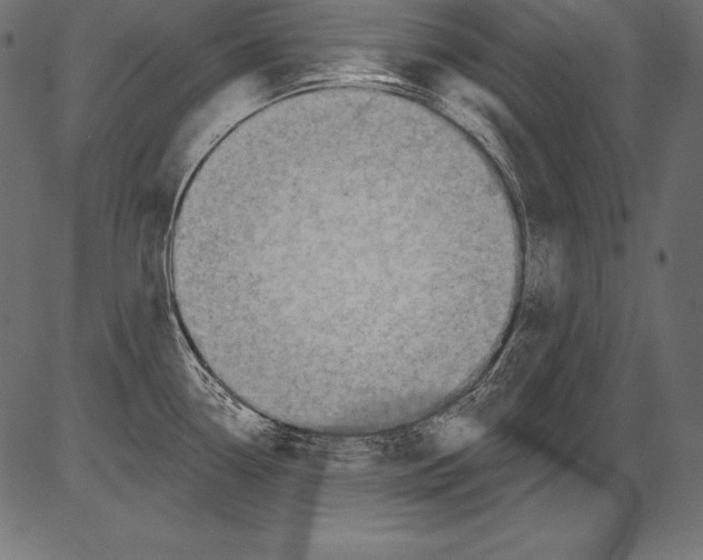 X0000081401338200702020311