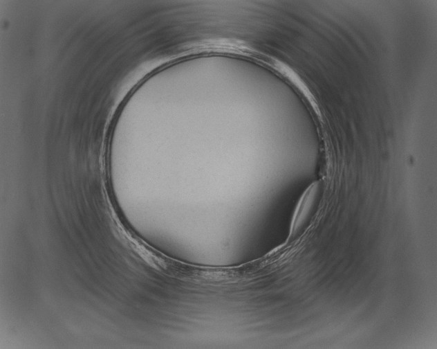 X0000081401339200702020311