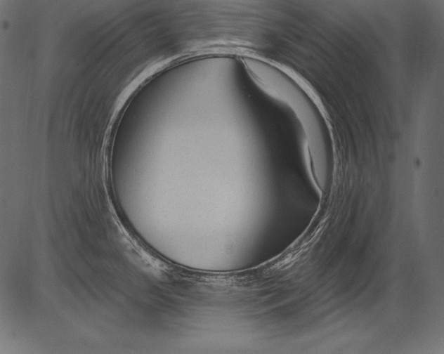 X0000081401341200702020311
