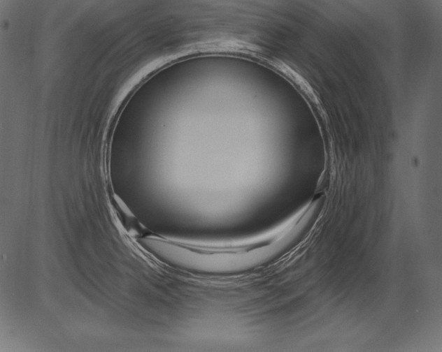 X0000081401342200702020311