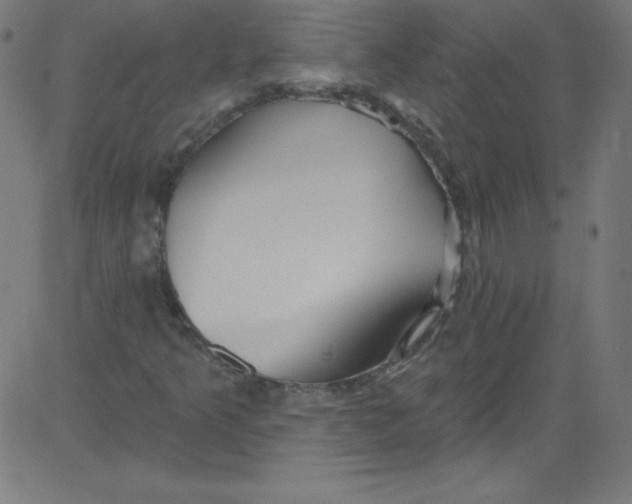 X0000081401349200702020310